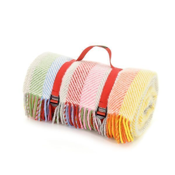 Polo Outdoor Picnic Blanket Tweedmill Picnic Rug Rolls - Image 4